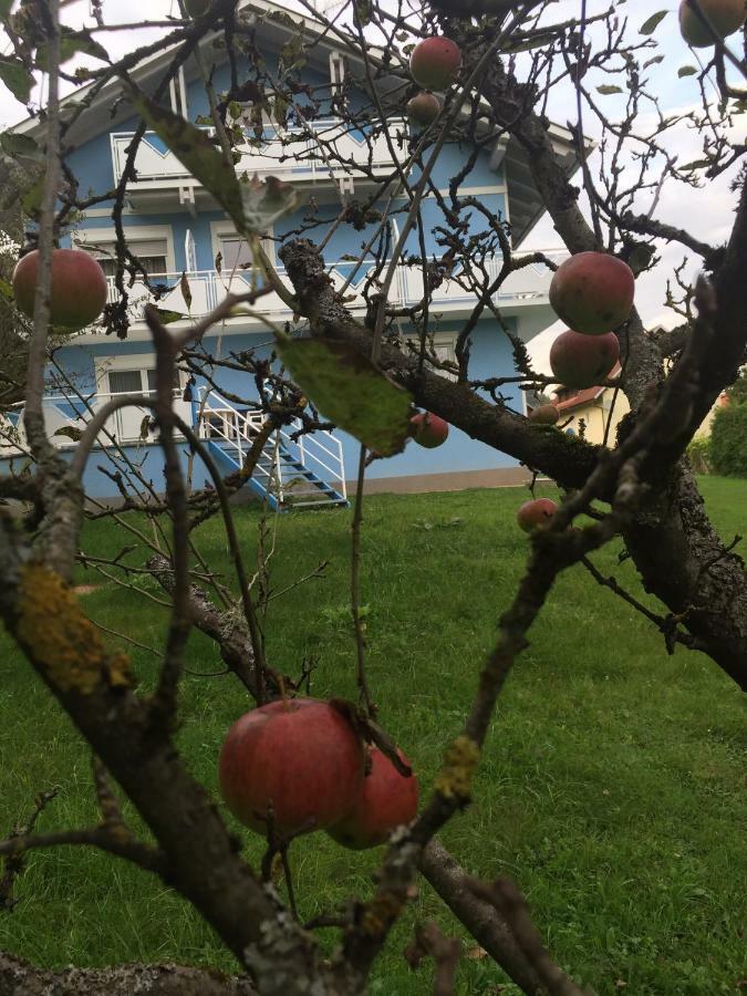 Pension Lipusch Sankt Veit im Jauntal Экстерьер фото